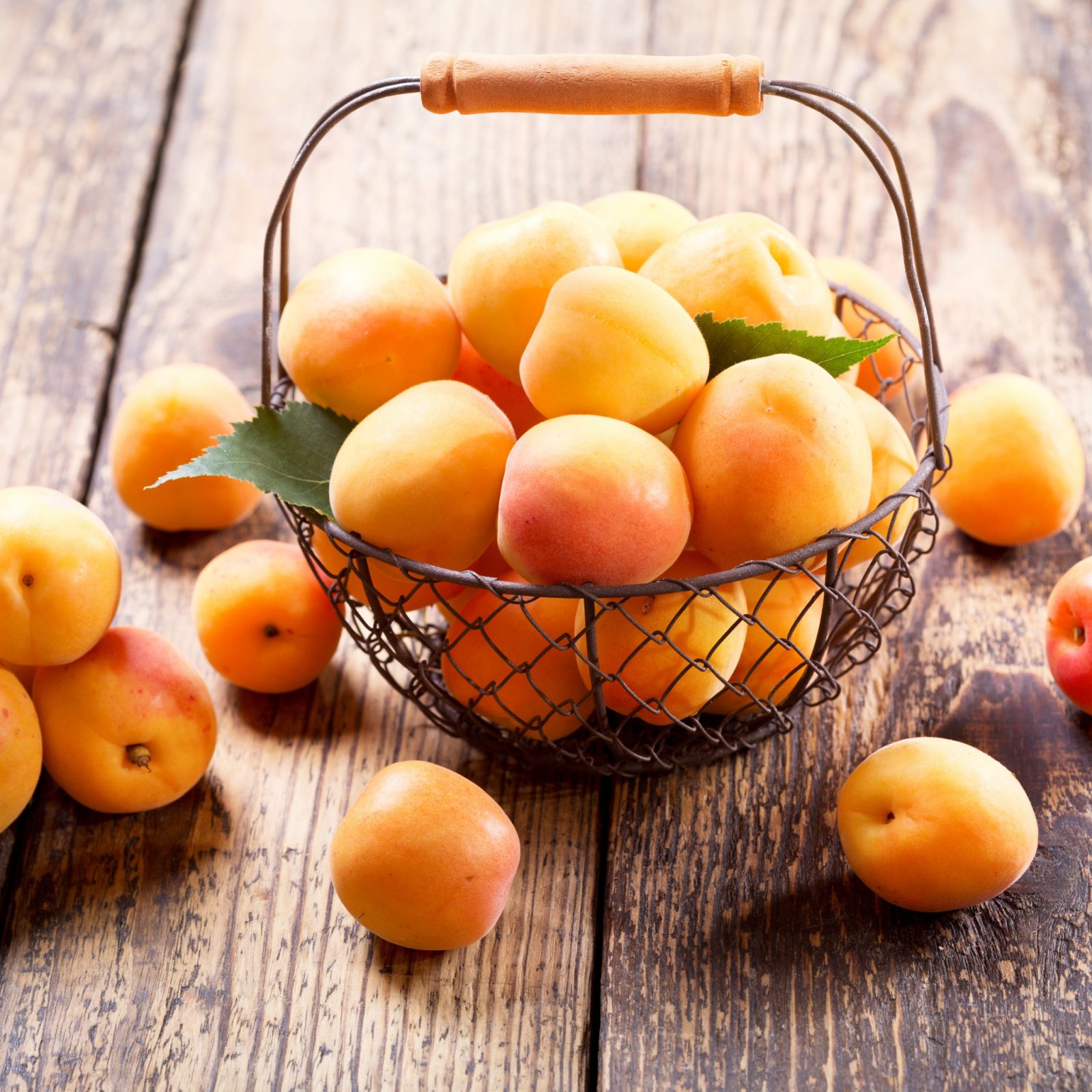 Персик-абрикос Медовый месяц